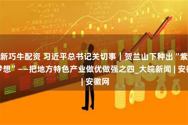 新巧牛配资 习近平总书记关切事｜贺兰山下种出“紫色梦想”——把地方特色产业做优做强之四_大皖新闻 | 安徽网