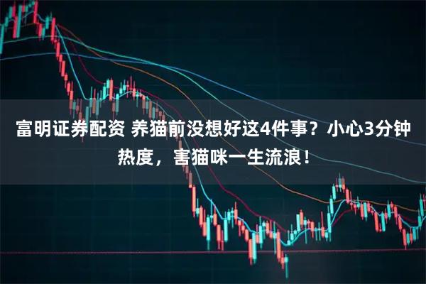 富明证券配资 养猫前没想好这4件事？小心3分钟热度，害猫咪一生流浪！