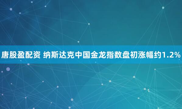 唐股盈配资 纳斯达克中国金龙指数盘初涨幅约1.2%