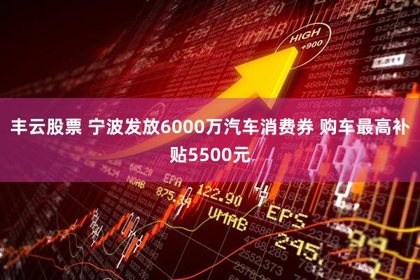 丰云股票 宁波发放6000万汽车消费券 购车最高补贴5500元