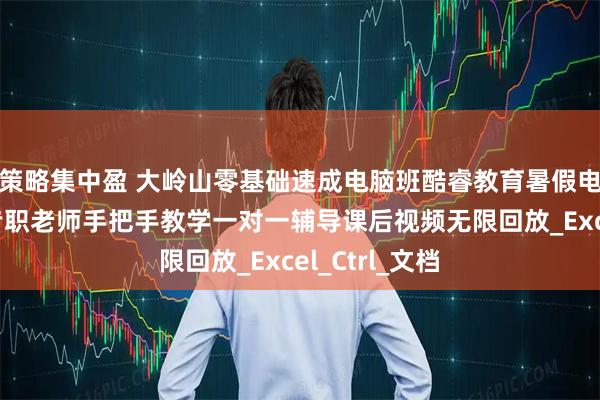 策略集中盈 大岭山零基础速成电脑班酷睿教育暑假电脑培训学校专职老师手把手教学一对一辅导课后视频无限回放_Excel_Ctrl_文档